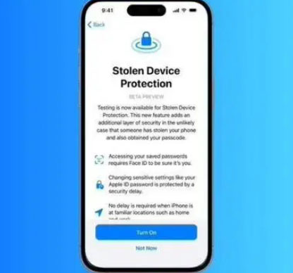 乐业苹果授权维修店分享被盗设备保护功能开启方法 