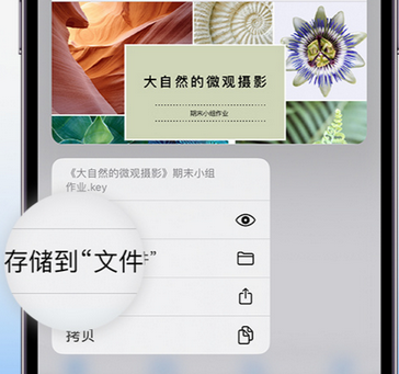 乐业apple维修中心分享iPhone文件应用中存储和找到下载文件