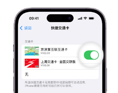 乐业apple维修点分享iPhone上更换Apple Pay快捷交通卡手绘卡面 