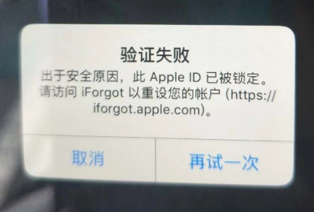 乐业iPhone维修分享iPhone上正常登录或使用AppleID怎么办 