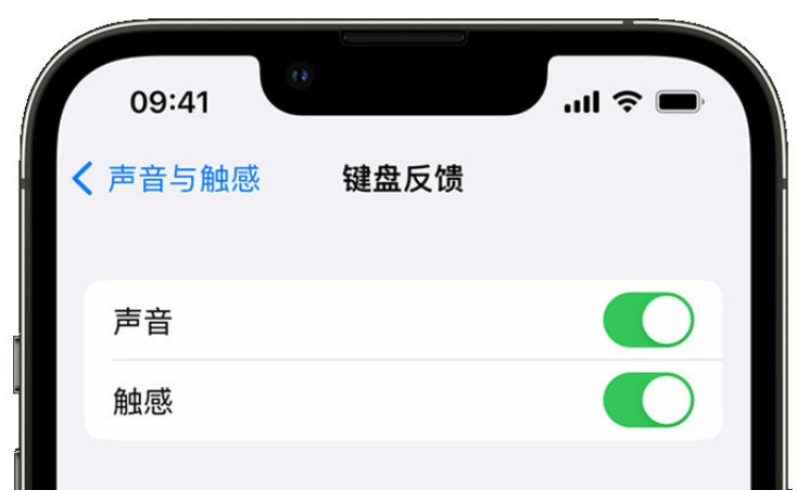 乐业苹果手机维修分享iPhone 14触感键盘使用方法 