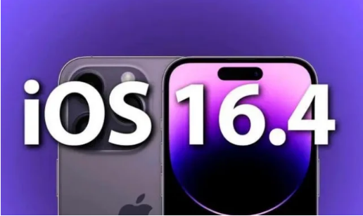 乐业苹果14维修分享：iPhone14可以升级iOS16.4beta2吗？ 