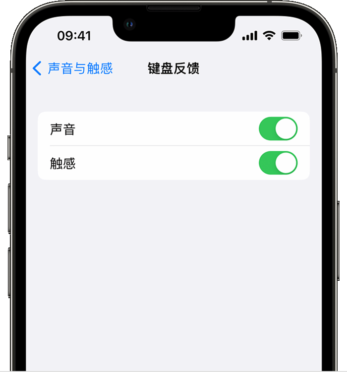 乐业苹果14维修店分享如何在 iPhone 14 机型中使用触感键盘 