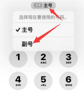 乐业苹果14维修店分享iPhone 14 Pro Max使用副卡打电话的方法 