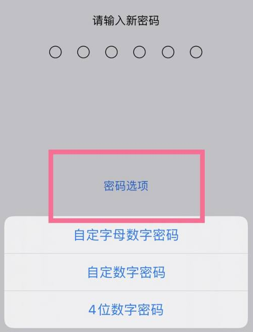 乐业苹果14维修分享iPhone 14plus设置密码的方法 