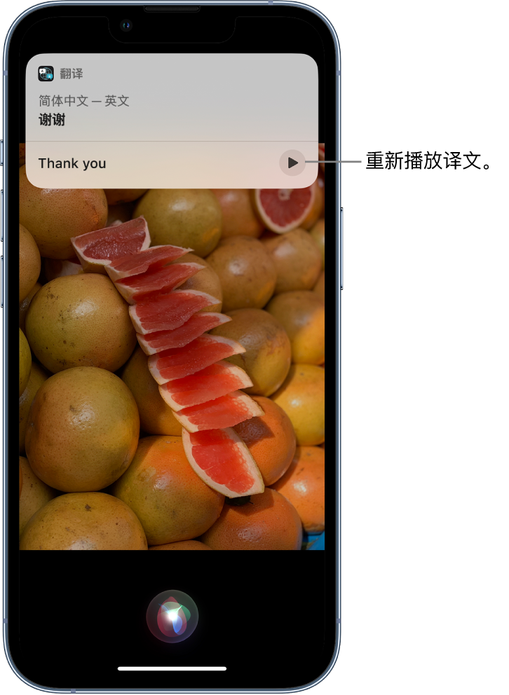 乐业苹果14维修分享 iPhone 14 机型中使用 Siri：了解 Siri 能帮你做什么 