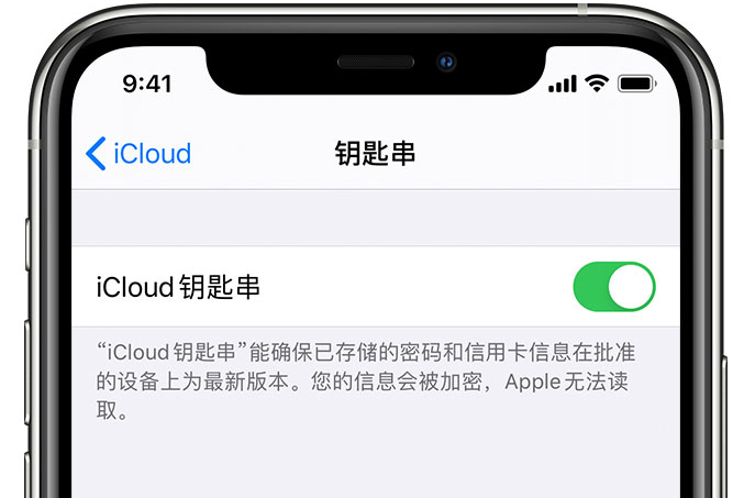 乐业苹果手机维修分享在 iPhone 上开启 iCloud 钥匙串之后会储存哪些信息 