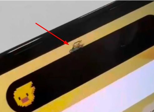 乐业苹果14维修分享iPhone 14 Pro Max灵动岛怎么养宠物 