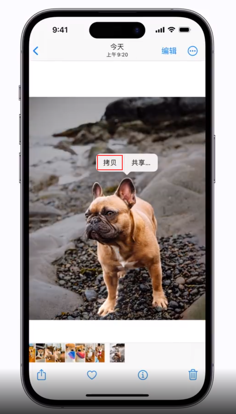 乐业苹果手机维修分享 iOS 16 自带一键抠图功能 