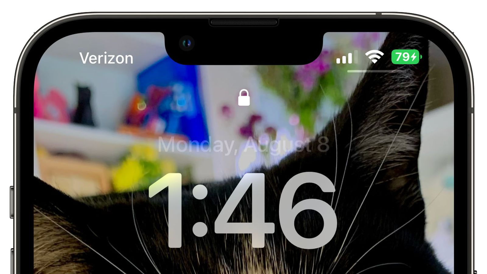 乐业苹果手机维修分享iOS 16 beta 5 支持状态栏显示电池百分比，如何开启？支持哪些机型 