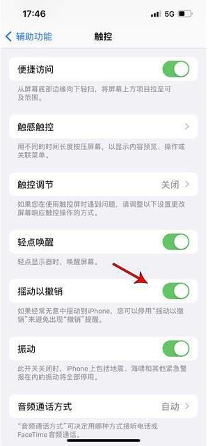 乐业苹果手机维修分享iPhone手机如何设置摇一摇删除文字 