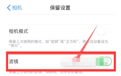 乐业苹果13维修分享iPhone13拍照有绿点是怎么回事 