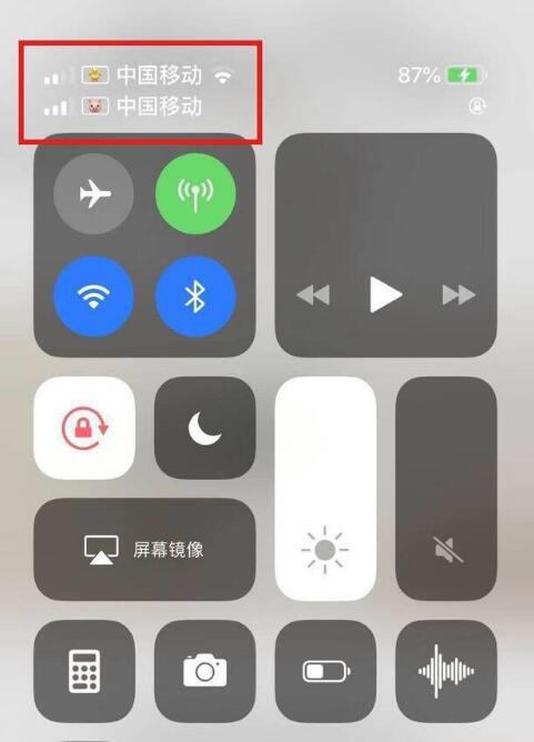 乐业苹果手机维修分享为 iPhone 12 双卡设置标签 